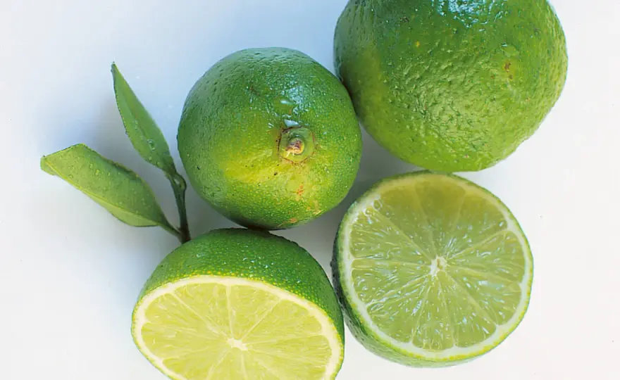 Limetten einfrieren - So bleiben Saft und Schale monatelang frisch