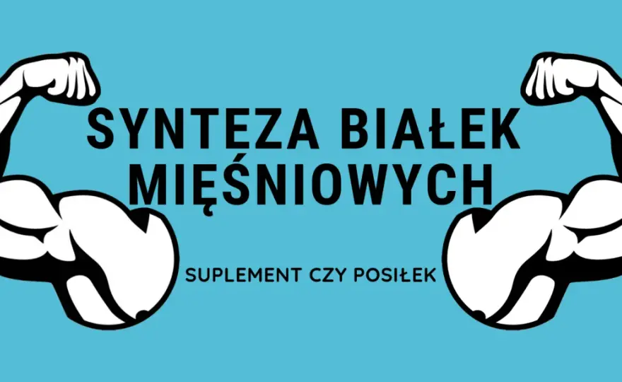 Synteza białek mięśniowych - Co działa, a co jest mitem?