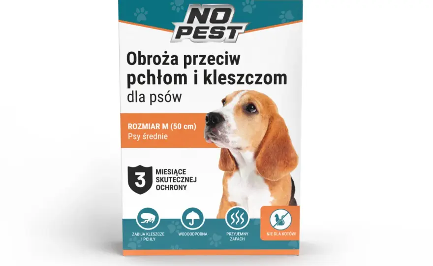 Najlepsza obroża przeciwpchelna dla psa – uniknij nieprzyjemności i bólu