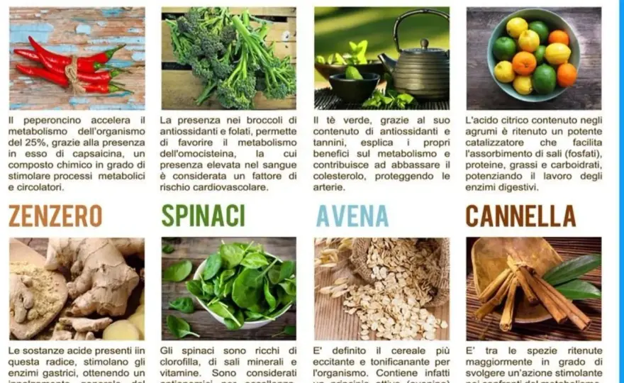 Metabolismo lento? Cosa fare davvero ogni giorno