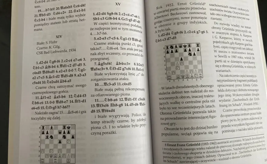 Dlaczego niszowe debiuty mają mniejsze szanse na wydanie?