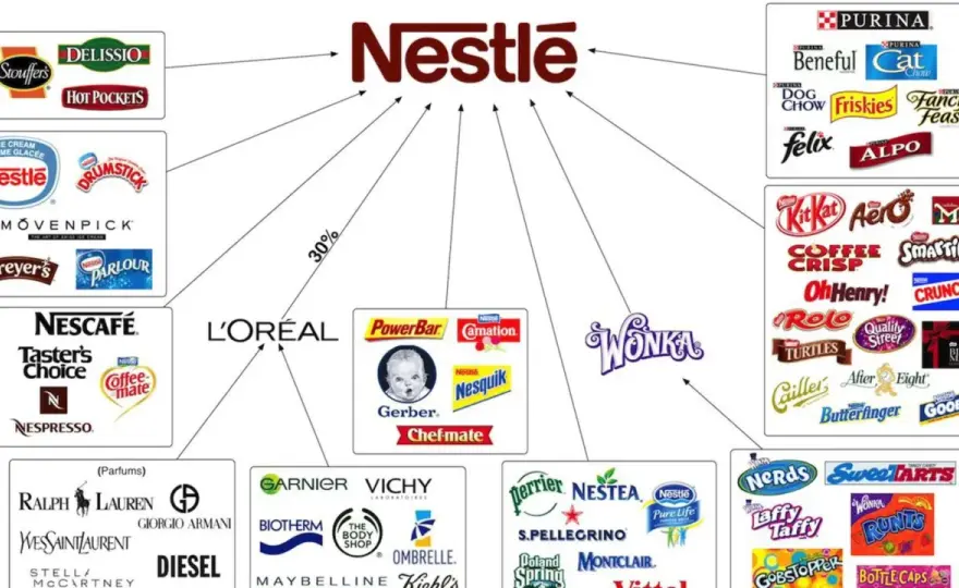 Danone oder Nestlé? Marken, Unterschiede und Verbraucherrechte