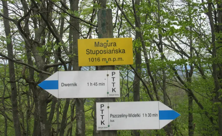 Co oznaczają szlaki górskie i jak je rozpoznać w terenie