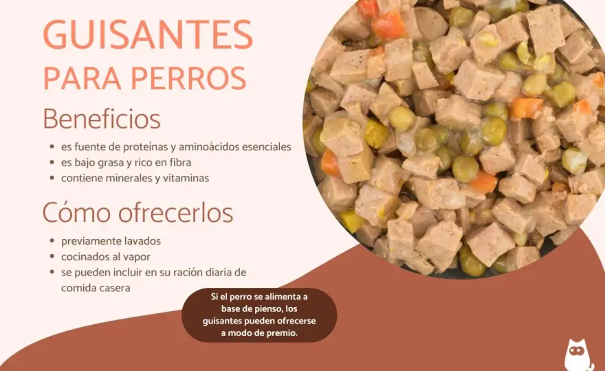 ¿Perros pueden comer guisantes? La verdad que debes saber