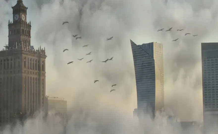 Skąd smog w Warszawie? Niska emisja, auta i pogoda pełna analiza