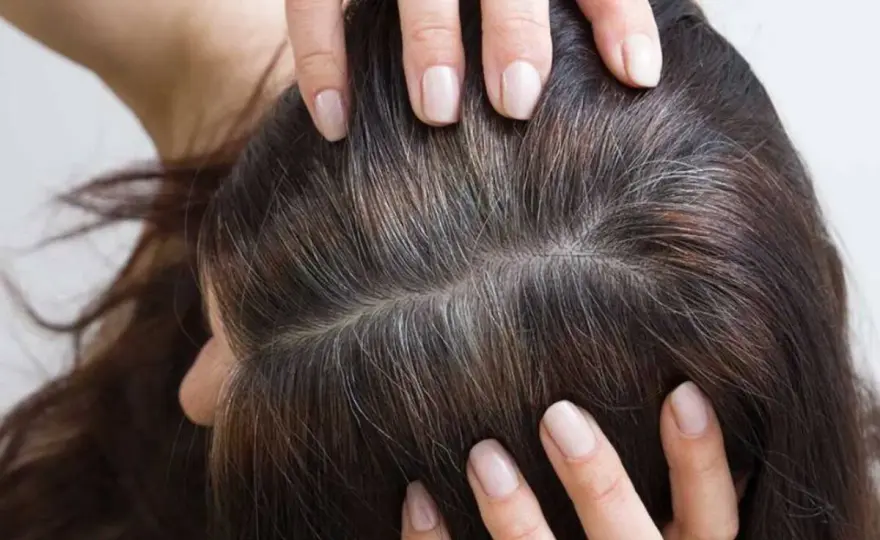 Arrancar una cana no hace salir más - qué hacer con las canas