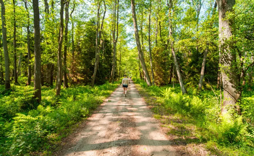Smołdzino i Słowiński Park Narodowy - Co zobaczyć i ile to kosztuje?