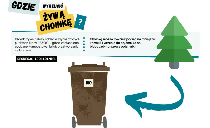 Gdzie wyrzucić choinkę? Segreguj po świętach bez błędów!