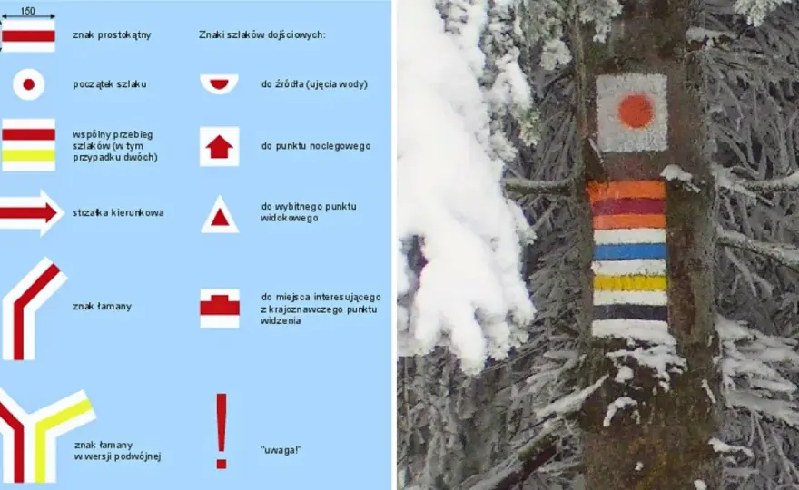 Kolory szlaków w Polsce: Czy wiesz, co naprawdę oznaczają?