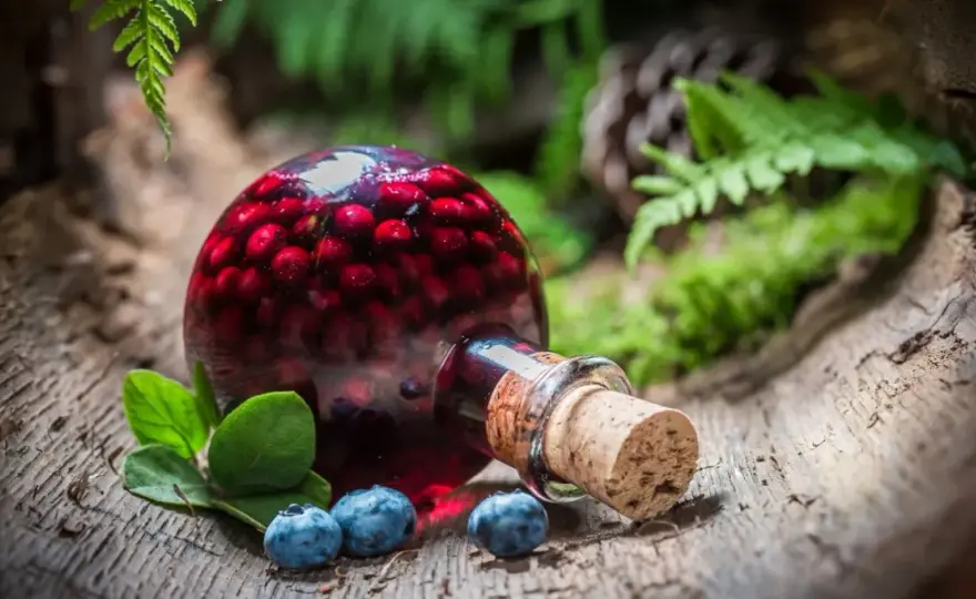 Nalewka z borówek amerykańskich - przepis na aromatyczną nalewkę z owoców borówki