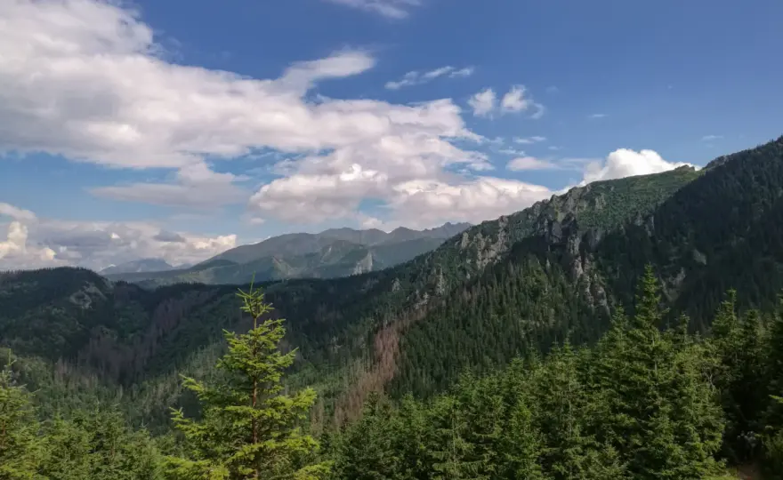Sarnia Skała - Tatry dla każdego? Przewodnik po szlaku