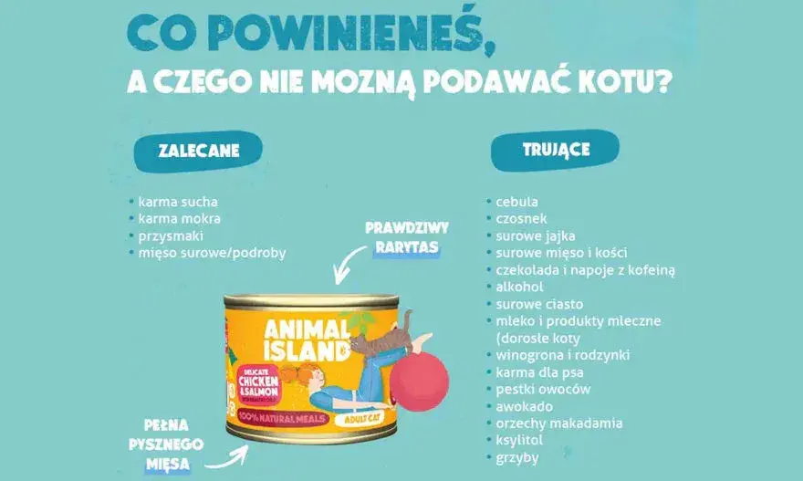Surowe mięso dla kota: Jak karmić, by było zdrowo i bezpiecznie?