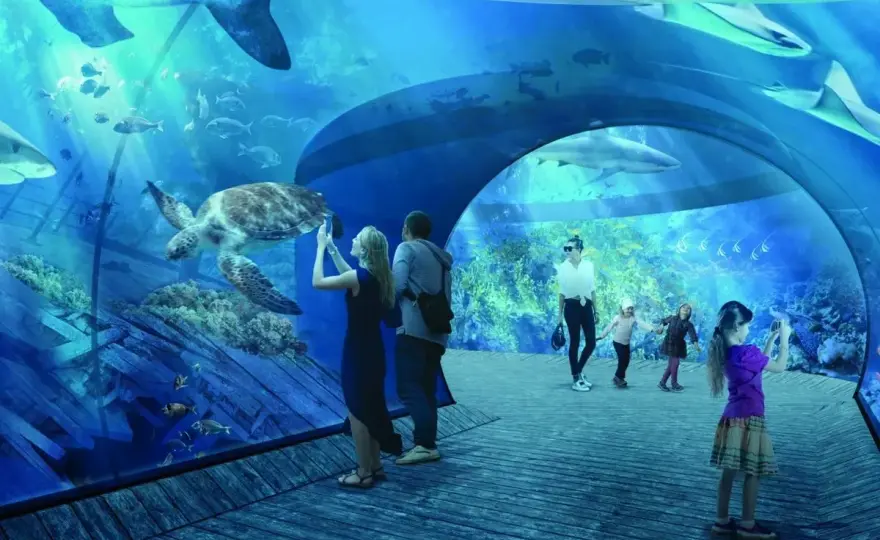Oceanarium Gdańsk - Akwarium Gdyńskie: Co warto wiedzieć?