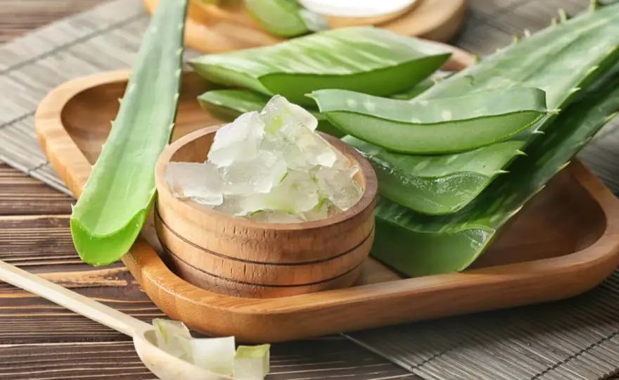 Aloe vera para el cabello sin enjuagar y cómo usarla bien