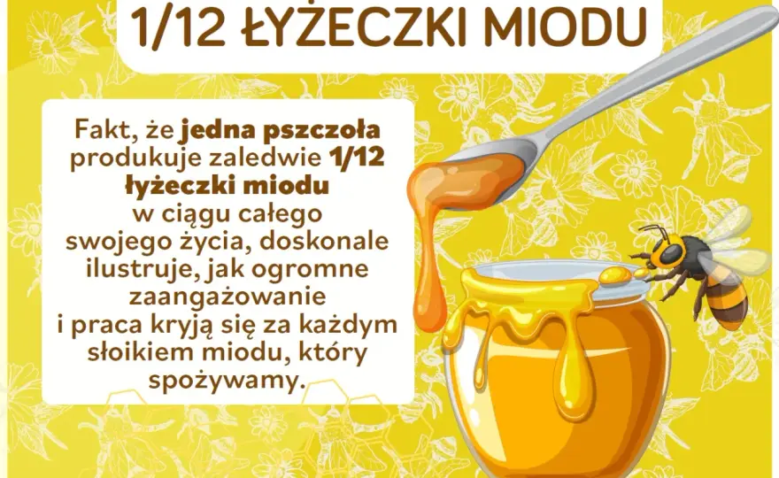 Ciekawostki o pszczołach dla dzieci - ul, miód i bezpieczeństwo