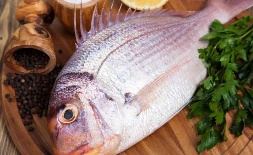 Pez rojo - ¿Pargo, besugo o salmonete? Identifica y cocina bien