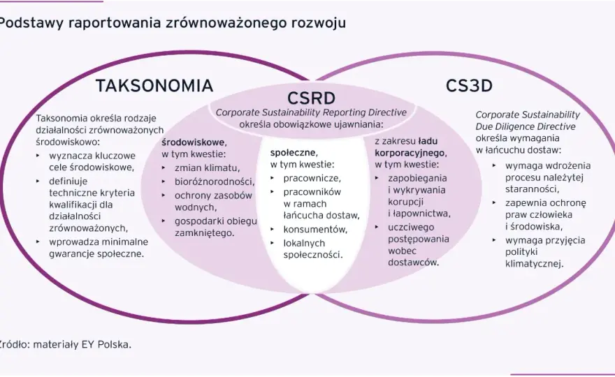 Raport zrównoważonego rozwoju: Kluczowe informacje i przykłady firm