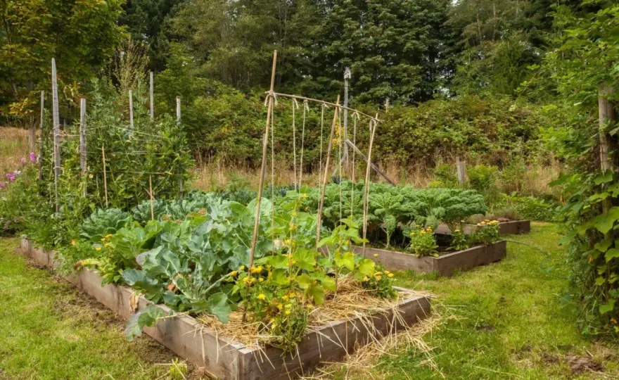 No-Dig-Methode im Garten - so legst du Beete ohne Umgraben an