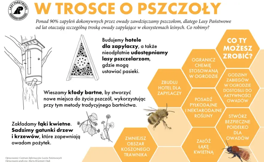 Afirm - kiedy warto go użyć i jak chronić pszczoły?
