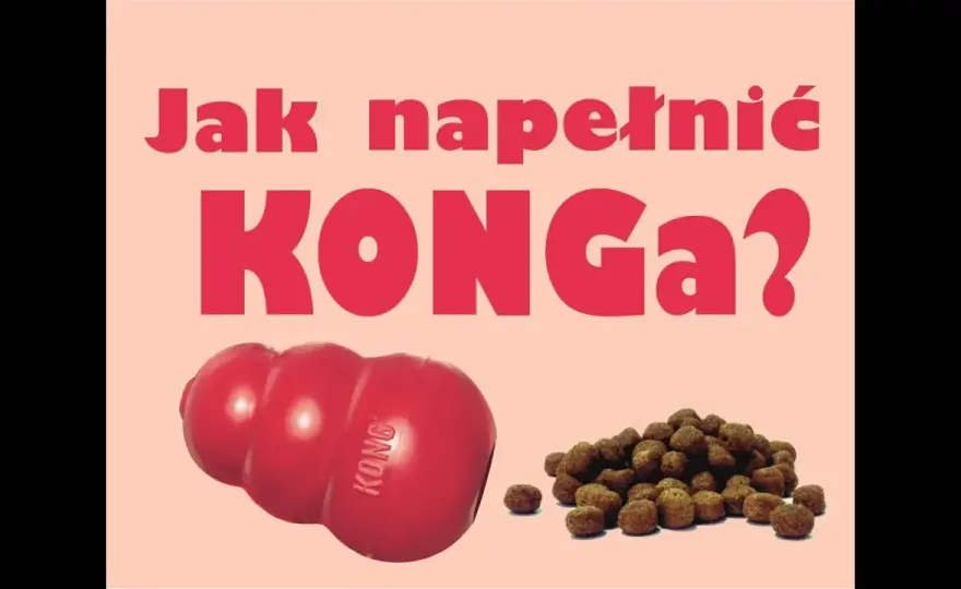 KONG dla psa: Jak używać, napełniać i czyścić? Przewodnik