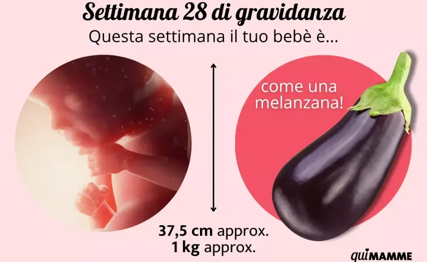 28 settimane di gravidanza - Cosa sapere per la mamma e il feto