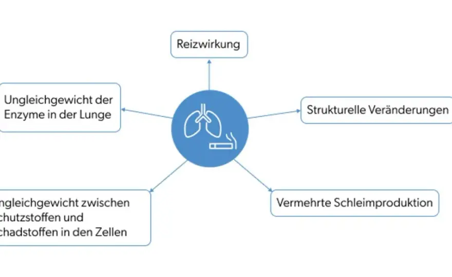 COPD und Rauchen - warum der Rauchstopp den Verlauf bremst