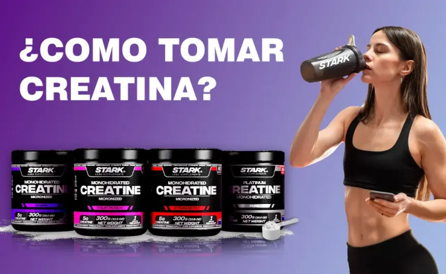 Creatina - Guía completa para maximizar tu entrenamiento