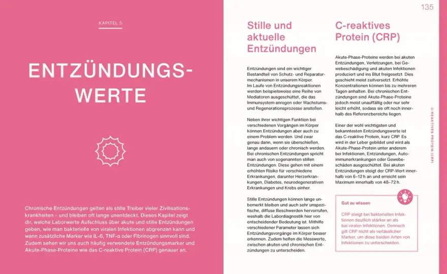 Kleines Blutbild und Leberwerte richtig verstehen