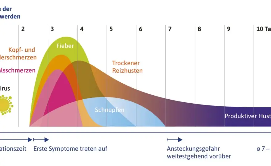 Die häufigsten symptome grippaler infekt und wie man sie erkennt