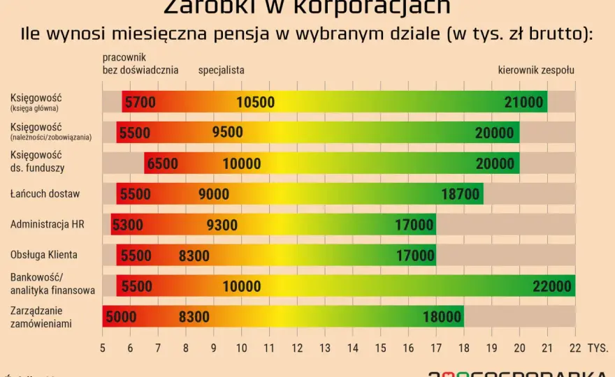 Ile zarabia przedstawiciel handlowy? Prawda o zarobkach!