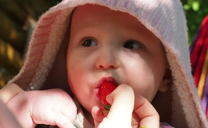 Truskawki dla niemowlaka - Kiedy i jak podać bezpiecznie?