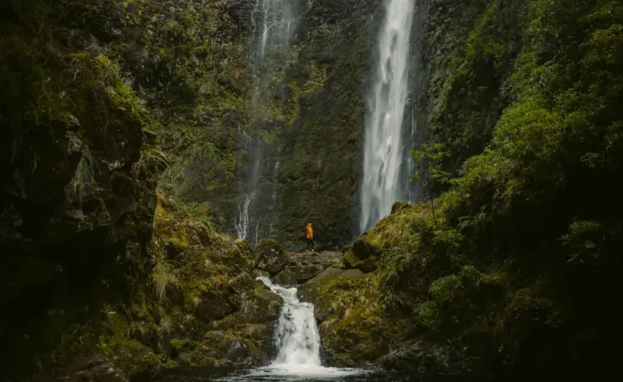Caldeirão Verde Waterfall Hike in Madeira - What to Expect