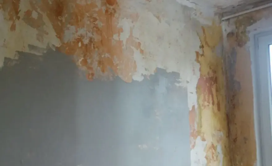 Gładź - 5 błędów, które psują efekt. Jak mieć idealne ściany?