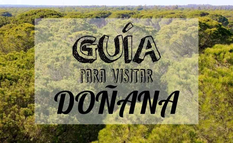 Visitar Doñana por libre - ¿Es posible y cómo hacerlo?