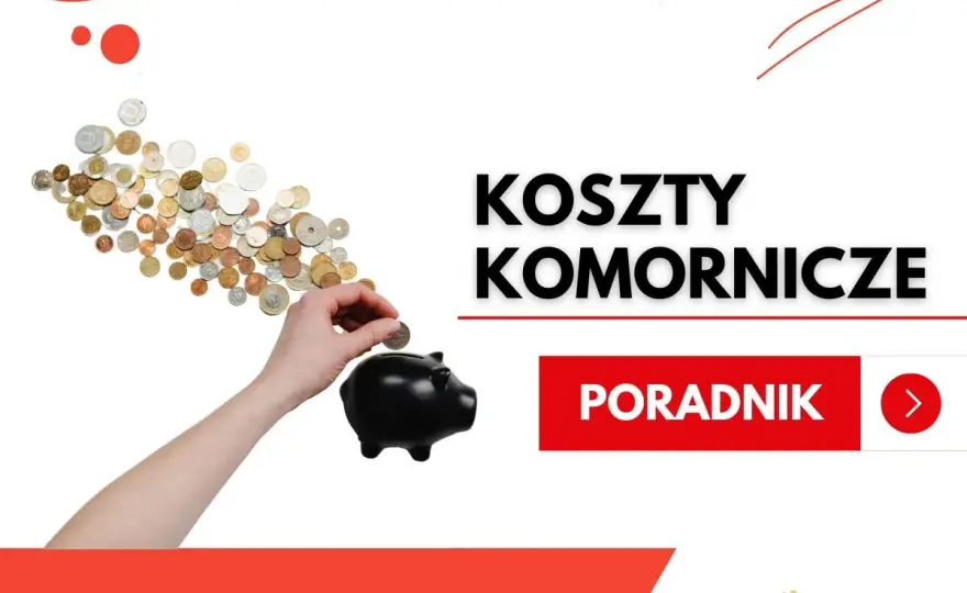 Jak uniknąć kosztów komorniczych? Praktyczne sposoby dla dłużników