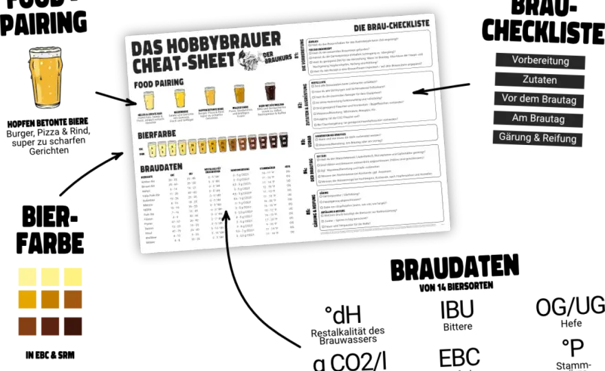 Brix in Plato umrechnen - Dein Guide für präzises Brauen