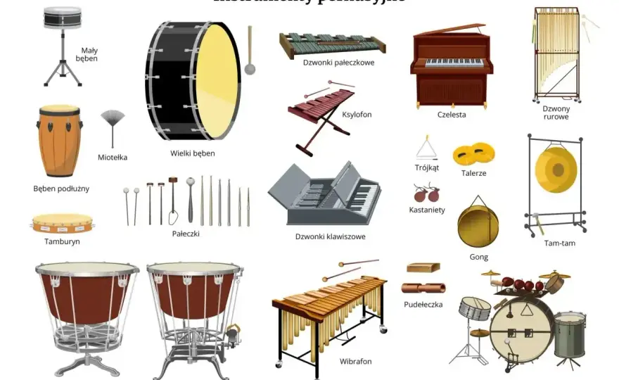 Instrumenty perkusyjne - Podział, wybór i jak grać z rytmem