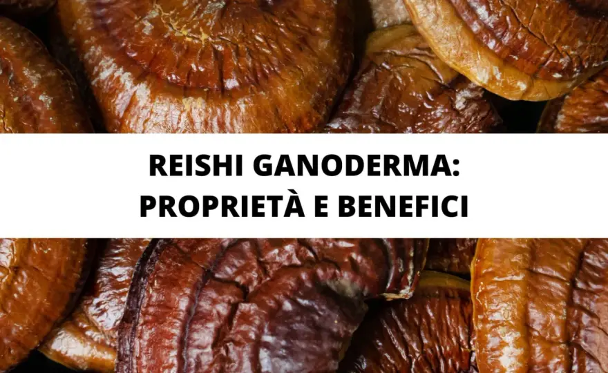 Ganoderma (Reishi) - Benefici, limiti e come sceglierlo