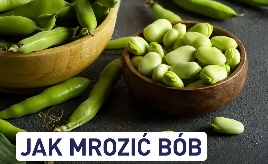 Mrożenie bobu - Jak zachować smak i kolor na zimę?