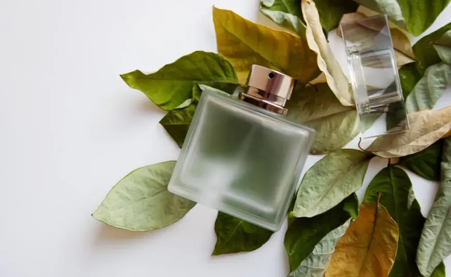 Perfumy fougère - Jak je rozpoznać i wybrać idealne?