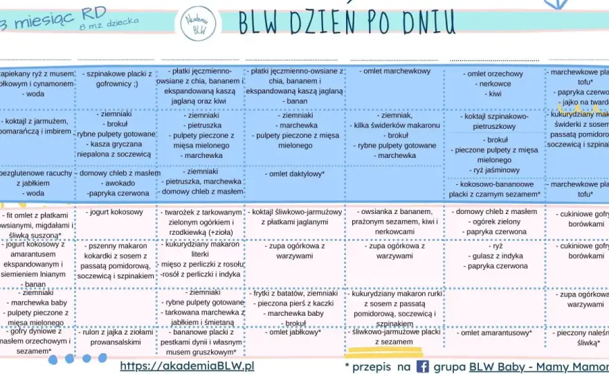 BLW dla 6-miesięcznego dziecka - Bezpieczne przepisy na start