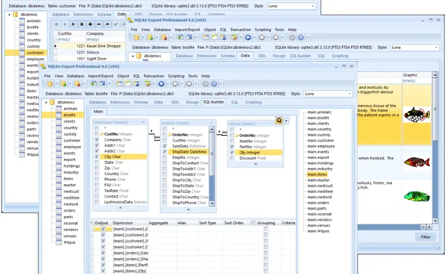 Jaki program do SQL wybrać? Porównanie i porady eksperta
