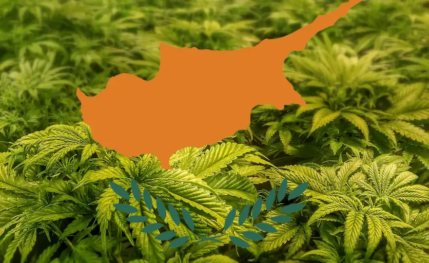 Marihuana na Cyprze: Legalna? Surowe prawo i CBD - poznaj fakty