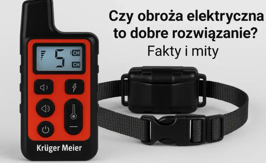 Jak obroża elektryczna dla psa może poprawić jego trening i bezpieczeństwo