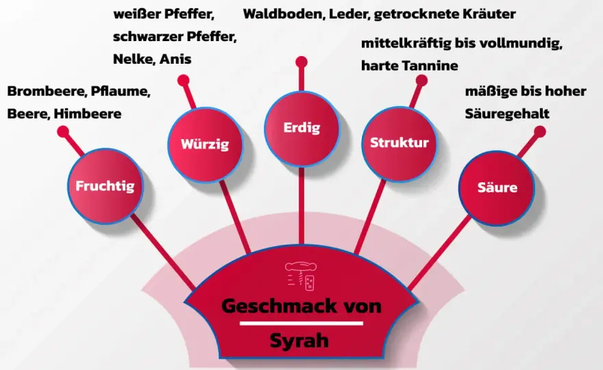 Syrah verstehen - Herkunft, Geschmack und die besten Speisen