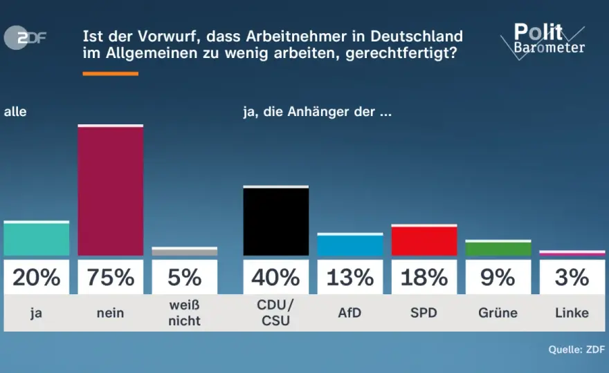 SPD-Umfragen im Blick - warum 12 bis 13 Prozent nicht alles sagen