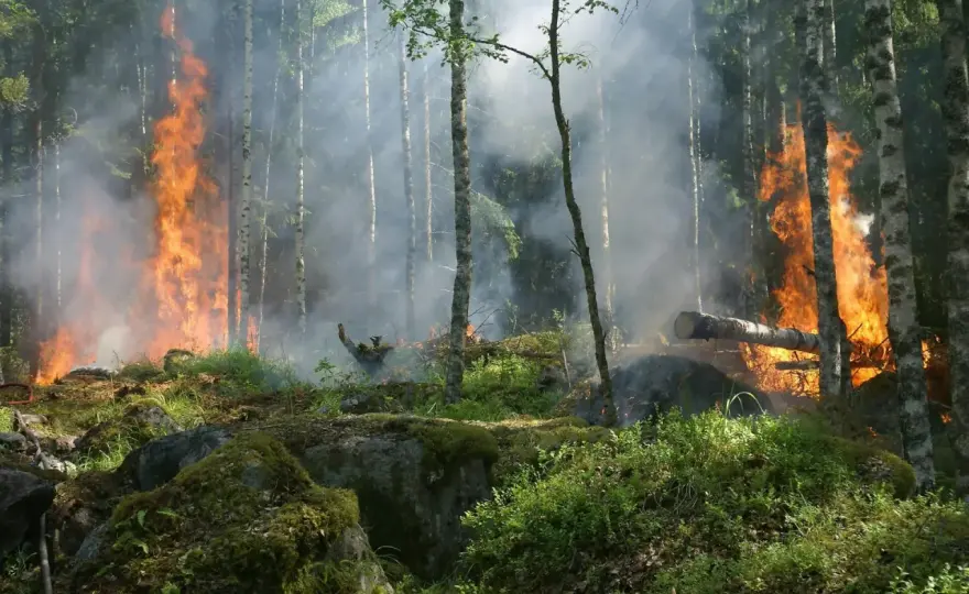 Polska - skutki zmian klimatu. Ocieplenie szybsze niż myślisz!