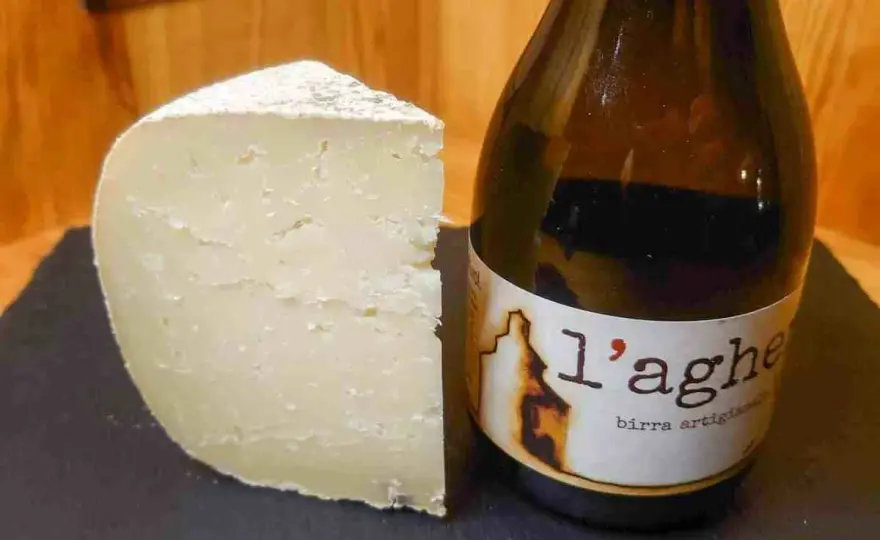 Birra e Formaggio - Abbina come un Pro: guida completa