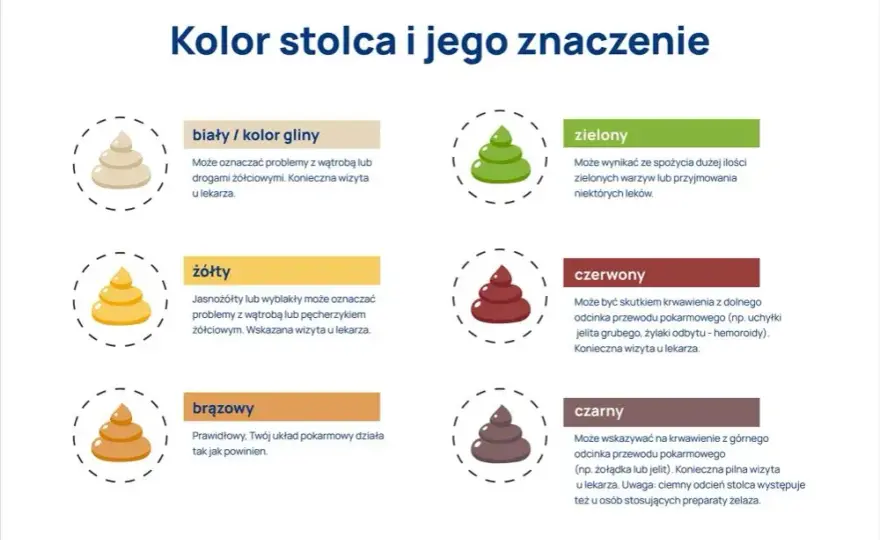 Ciemnozielony kał u psa: Co to znaczy i kiedy martwić się?