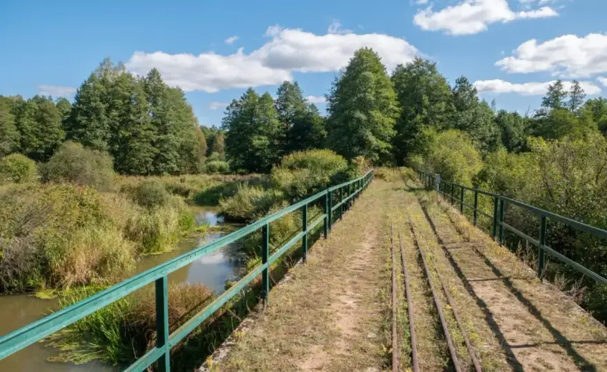 Białowieski Park Narodowy - co zobaczyć i jak zaplanować wizytę